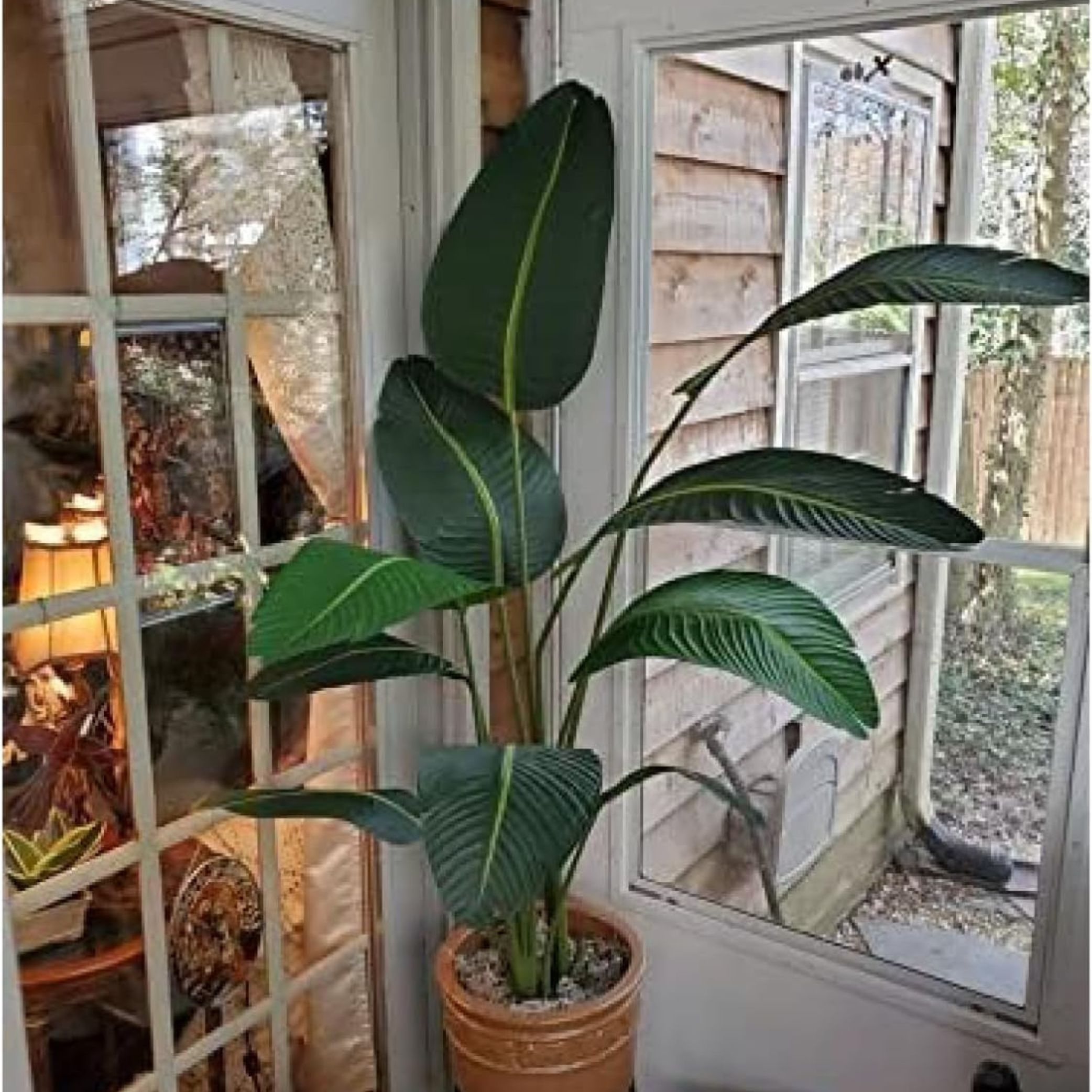 Bagari Store One 5 Foot Artificial Silk Bird of Paradise Palm Tree Potted Plant